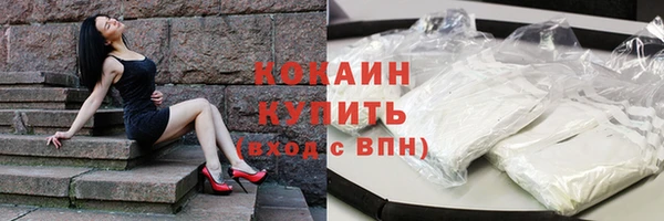 гашик Алзамай