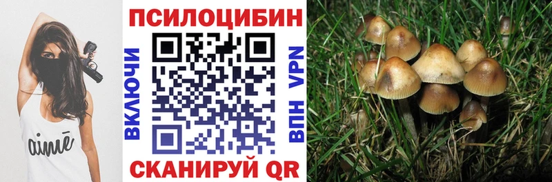 Купить  Зарайск  Галлюциногенные грибы Cubensis 